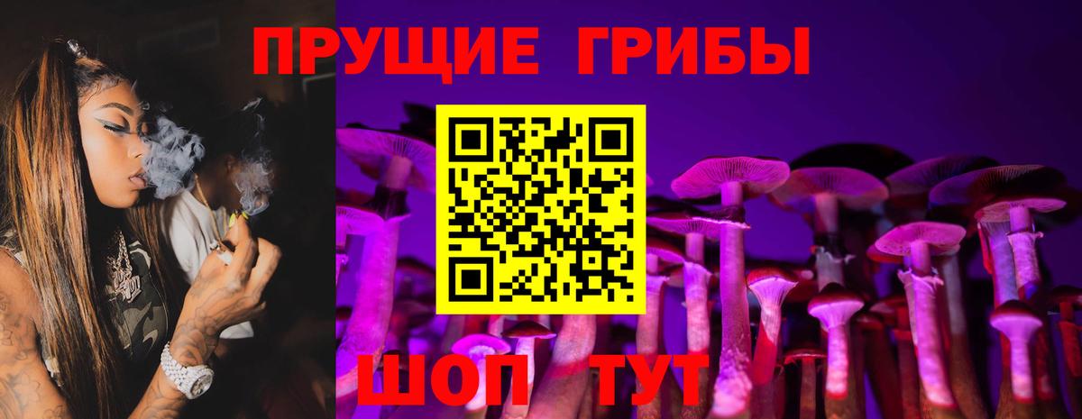 Псилоцибиновые грибы прущие грибы  Псилоцибиновые грибы мицелий  Вход с VPN  Семилуки 